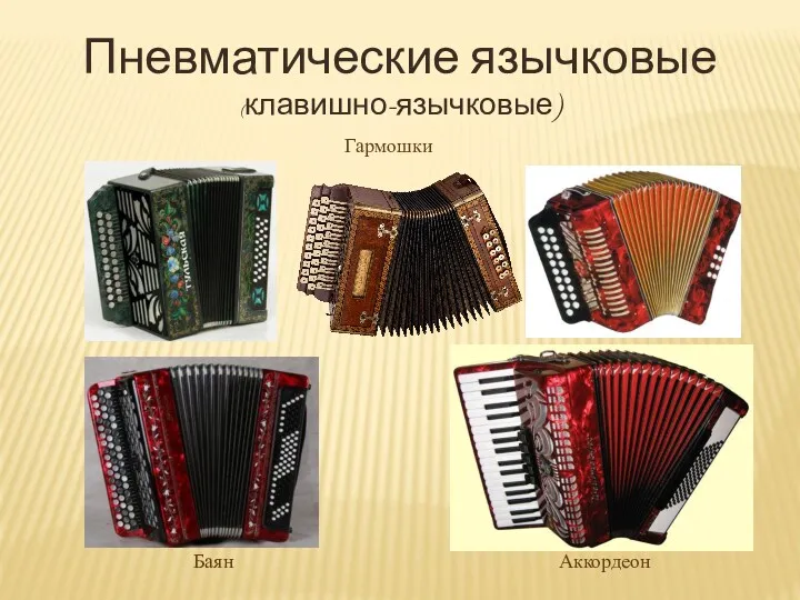 Пневматические язычковые (клавишно-язычковые) Гармошки Баян Аккордеон