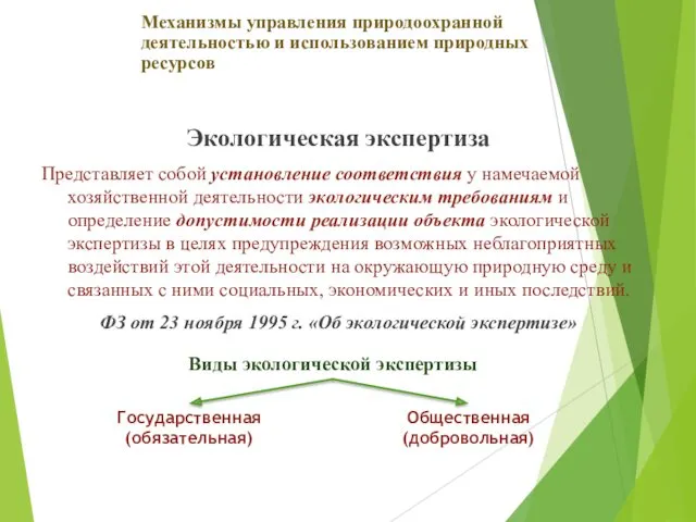 Экологическая экспертиза Представляет собой установление соответствия у намечаемой хозяйственной деятельности