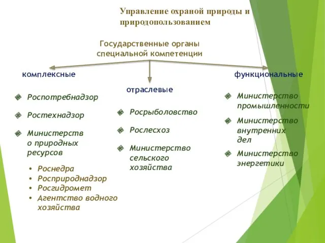 Государственные органы специальной компетенции комплексные отраслевые функциональные Управление охраной природы