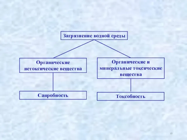 Загрязнение водной среды Органические нетоксические вещества Органические и минеральные токсические вещества Сапробность Токсобность