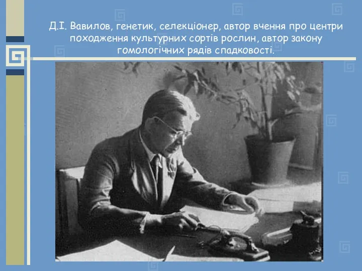 Д.І. Вавилов, генетик, селекціонер, автор вчення про центри походження культурних