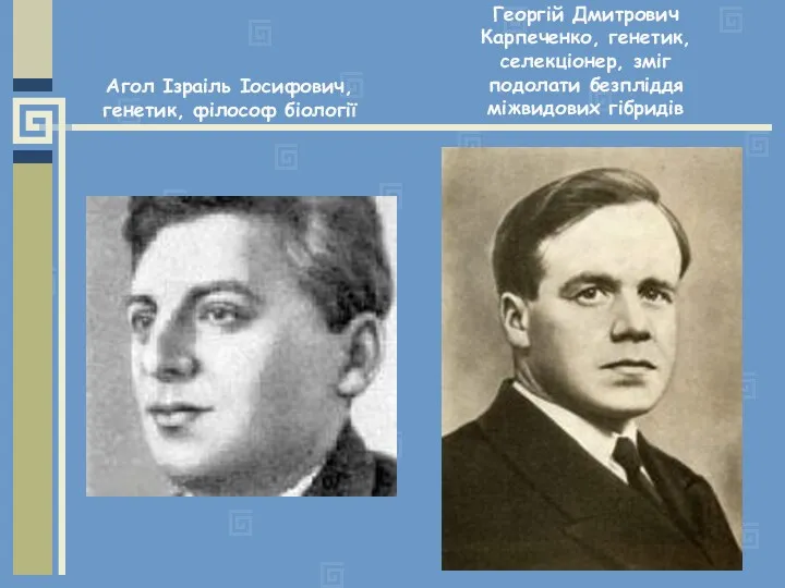 Агол Ізраіль Іосифович, генетик, філософ біології Георгій Дмитрович Карпеченко, генетик, селекціонер, зміг подолати безпліддя міжвидових гібридів