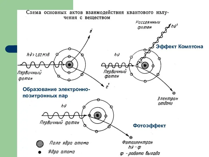 Фотоэффект Эффект Комптона Образование электронно-позитронных пар