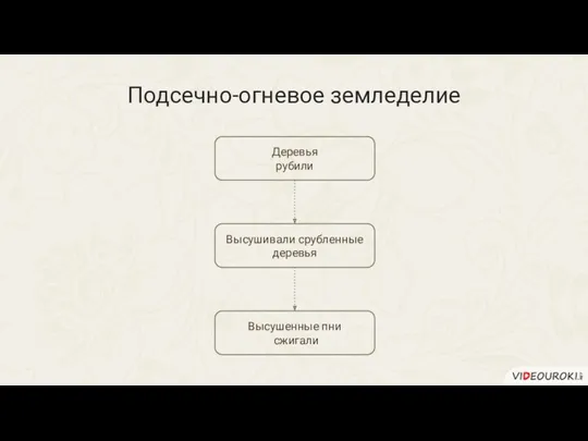 Подсечно-огневое земледелие Деревья рубили Высушивали срубленные деревья Высушенные пни сжигали