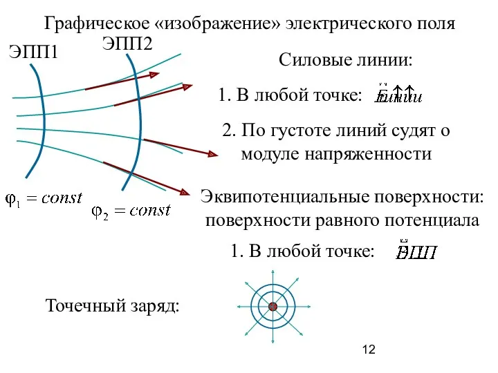 Графическое «изображение» электрического поля Силовые линии: 1. В любой точке: