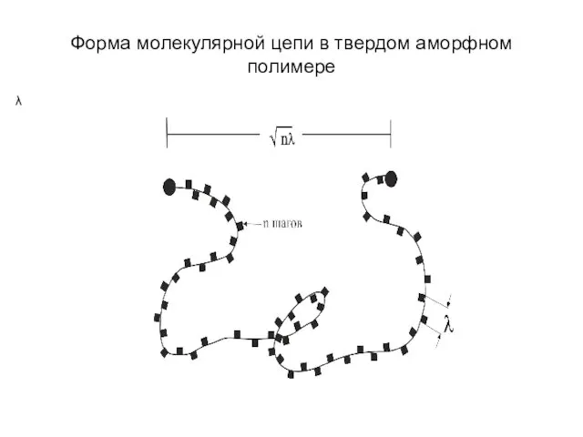 Форма молекулярной цепи в твердом аморфном полимере λ