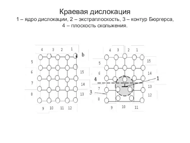 Краевая дислокация 1 – ядро дислокации, 2 – экстраплоскость, 3 – контур Бюргерса,