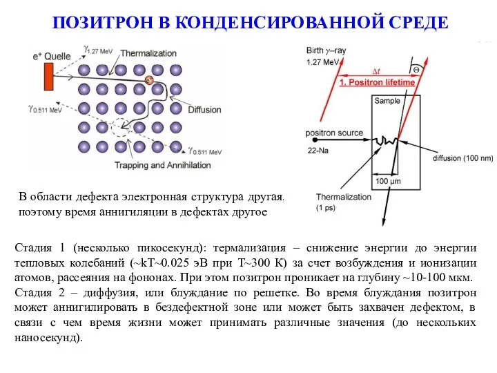 ПОЗИТРОН В КОНДЕНСИРОВАННОЙ СРЕДЕ Стадия 1 (несколько пикосекунд): термализация –