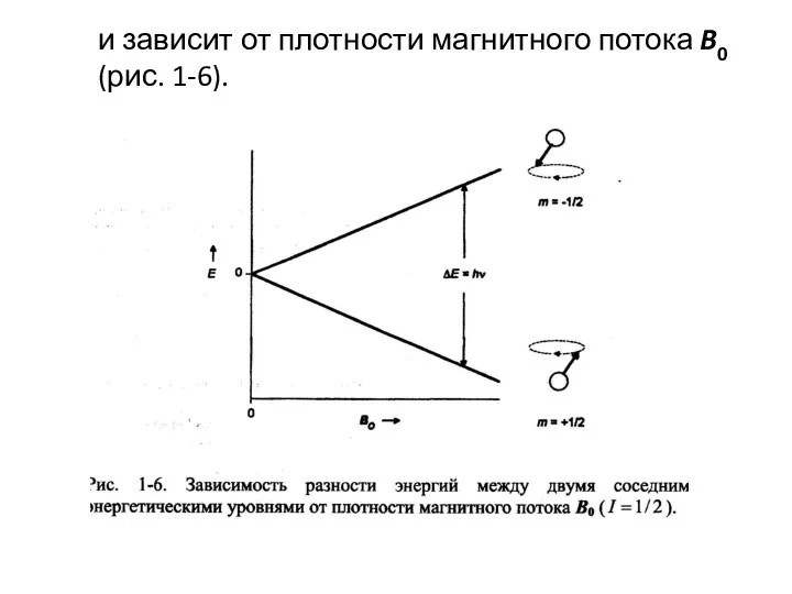 и зависит от плотности магнитного потока B0 (рис. 1-6).