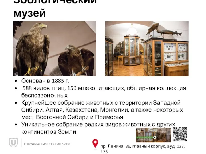 Зоологический музей Программа «Мой ТГУ» 2017-2018 Основан в 1885 г.