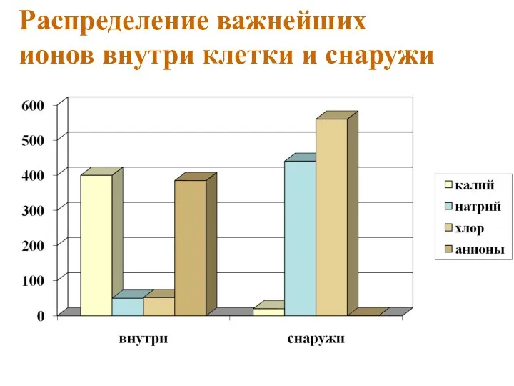 Распределение важнейших ионов внутри клетки и снаружи