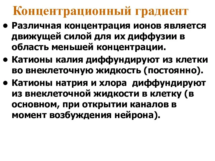 Концентрационный градиент Различная концентрация ионов является движущей силой для их