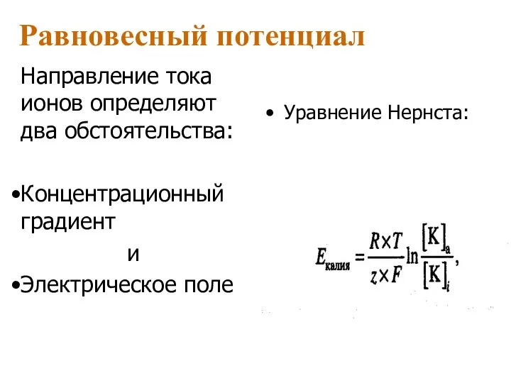 Равновесный потенциал Направление тока ионов определяют два обстоятельства: Концентрационный градиент и Электрическое поле Уравнение Нернста: