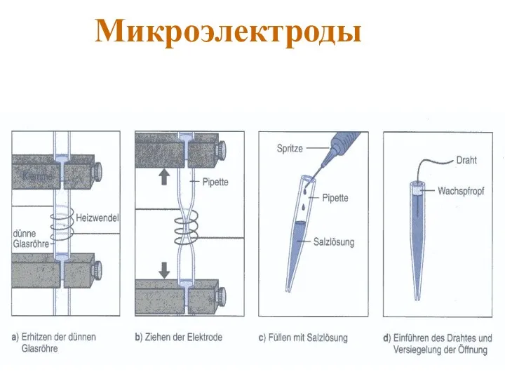 Микроэлектроды