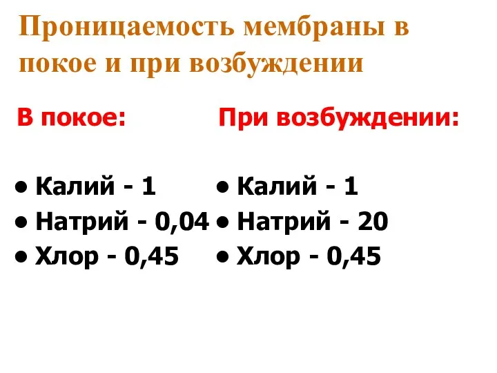 Проницаемость мембраны в покое и при возбуждении В покое: Калий