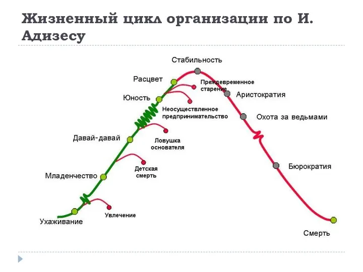 Жизненный цикл организации по И. Адизесу