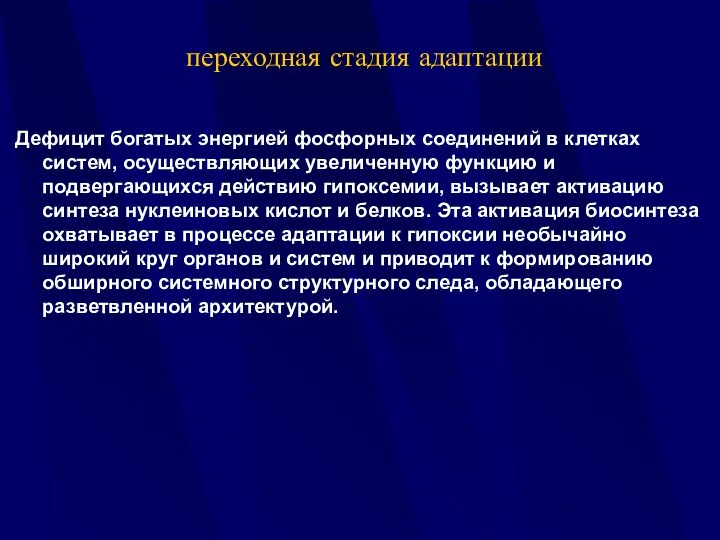 переходная стадия адаптации Дефицит богатых энергией фосфорных соединений в клетках