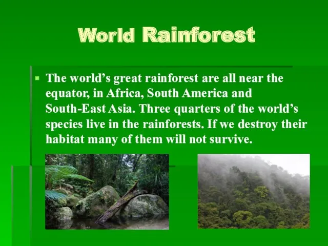 World Rainforest The world’s great rainforest are all near the