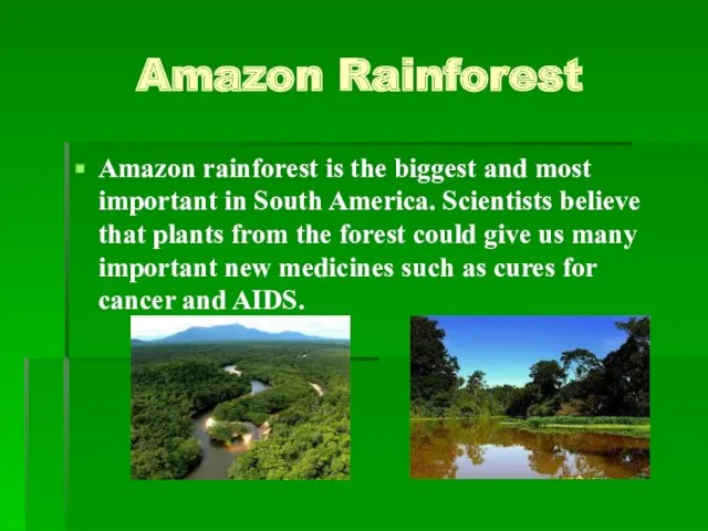 Amazon Rainforest Amazon rainforest is the biggest and most important in South America.
