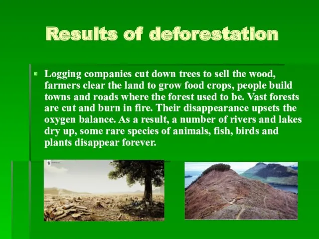 Results of deforestation Logging companies cut down trees to sell the wood, farmers