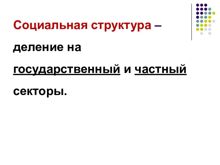 Социальная структура – деление на государственный и частный секторы.