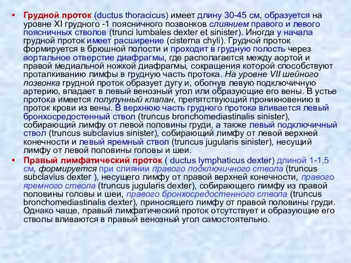 Грудной проток (ductus thoracicus) имеет длину 30-45 см, образуется на