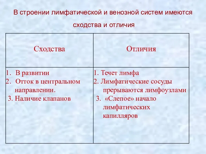 В строении лимфатической и венозной систем имеются сходства и отличия