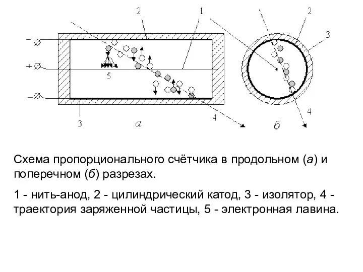 Схема пропорционального счётчика в продольном (а) и поперечном (б) разрезах.