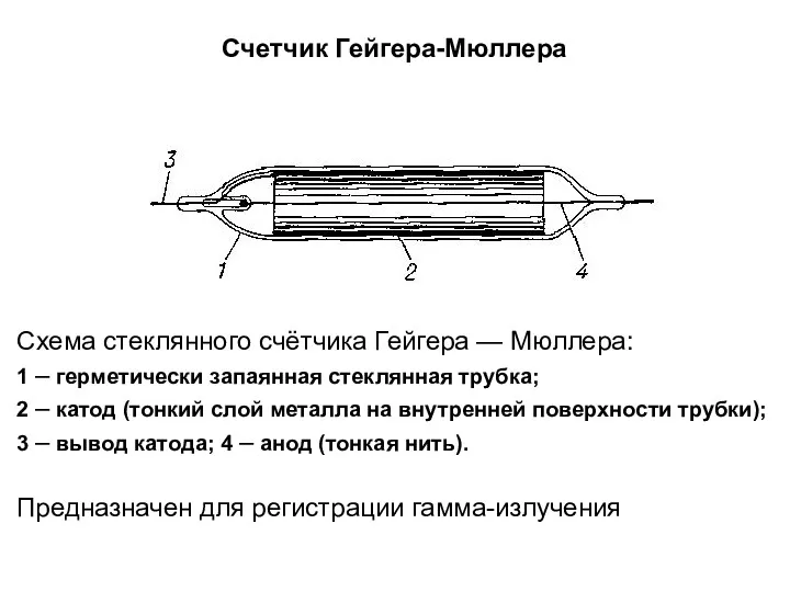 Схема стеклянного счётчика Гейгера — Мюллера: 1 – герметически запаянная