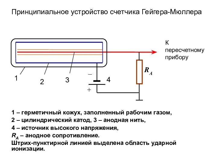 Принципиальное устройство счетчика Гейгера-Мюллера 1 – герметичный кожух, заполненный рабочим