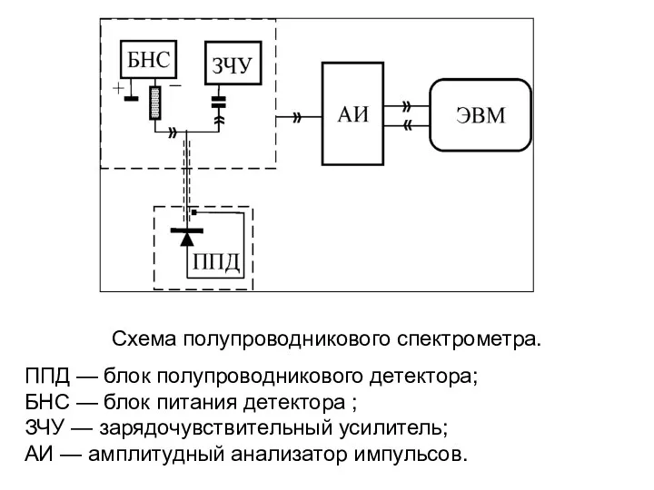 Схема полупроводникового спектрометра. ППД — блок полупроводникового детектора; БНС —