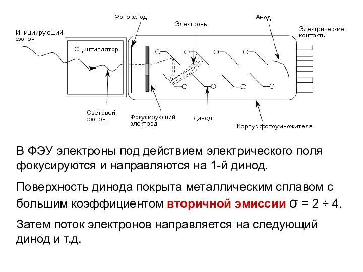 В ФЭУ электроны под действием электрического поля фокусируются и направляются