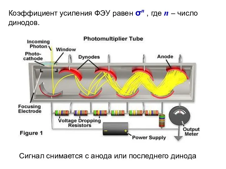 Коэффициент усиления ФЭУ равен σn , где n – число