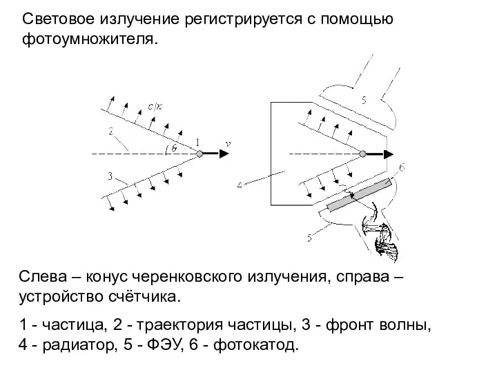 Световое излучение регистрируется с помощью фотоумножителя. Слева – конус черенковского