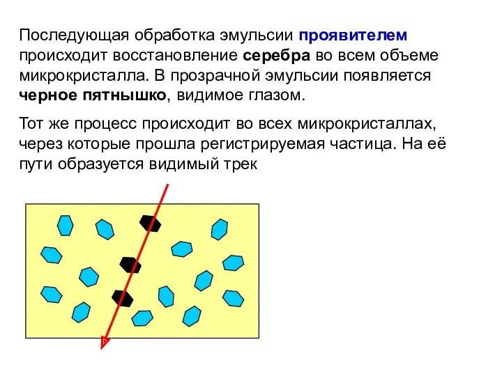 Последующая обработка эмульсии проявителем происходит восстановление серебра во всем объеме