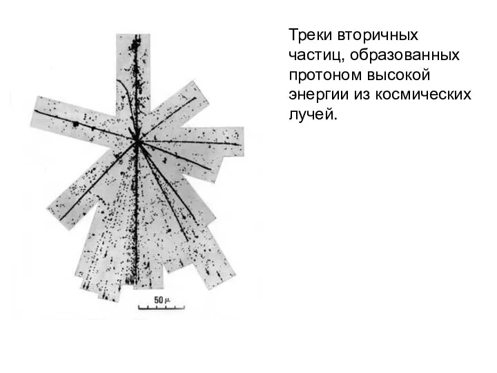 Треки вторичных частиц, образованных протоном высокой энергии из космических лучей.