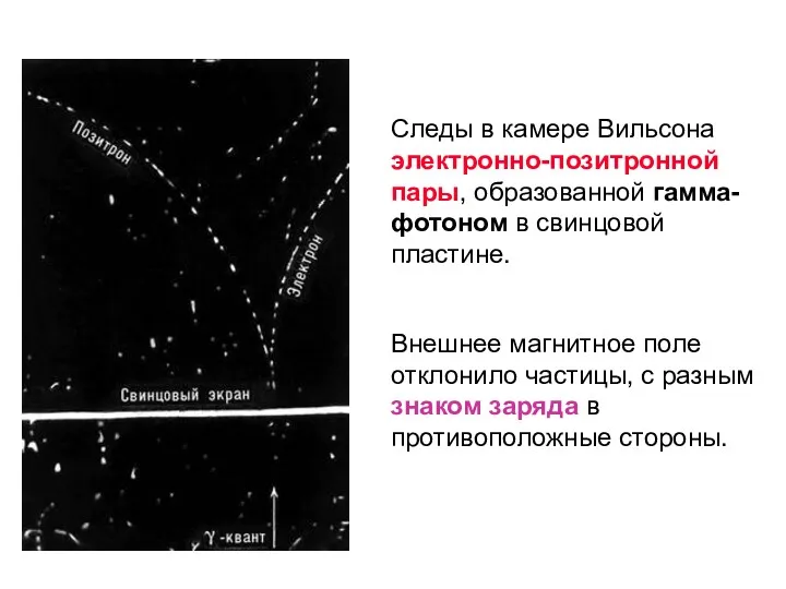 Следы в камере Вильсона электронно-позитронной пары, образованной гамма-фотоном в свинцовой