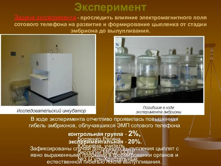 Борзенко Регина Юрьевна, учитель биологии МБОУ СОШ №3 г.Гусь-Хрустальный Эксперимент