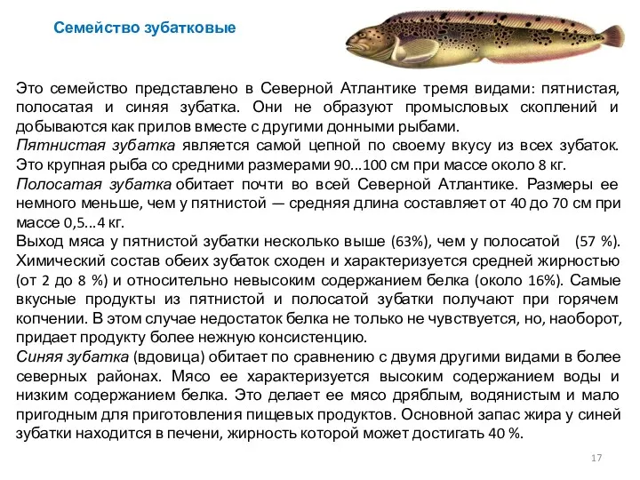 Это семейство представлено в Северной Атлантике тремя видами: пятнистая, полосатая