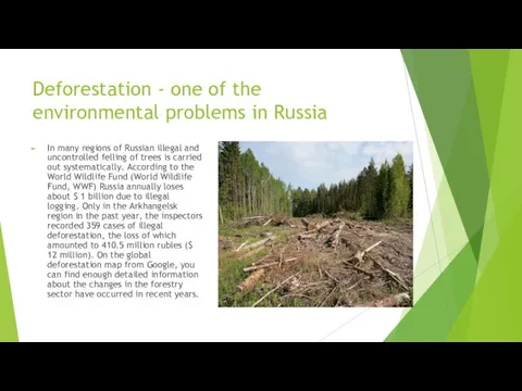 Deforestation - one of the environmental problems in Russia In