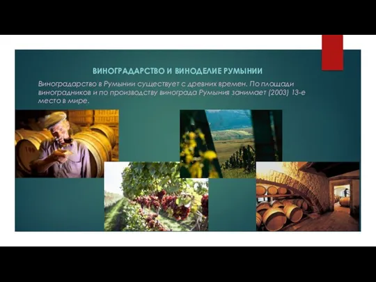 ВИНОГРАДАРСТВО И ВИНОДЕЛИЕ РУМЫНИИ Виноградарство в Румынии существует с древних