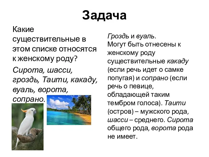 Задача Какие существительные в этом списке относятся к женскому роду?