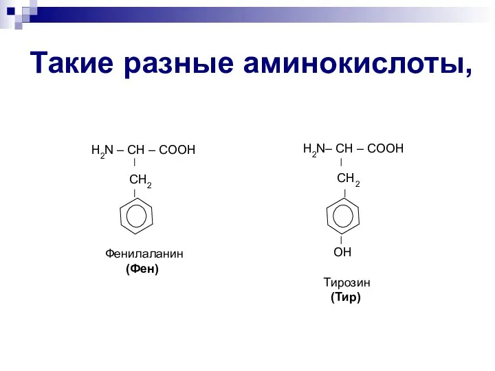 Такие разные аминокислоты, Н2N – CH – COOH СН2 Фенилаланин