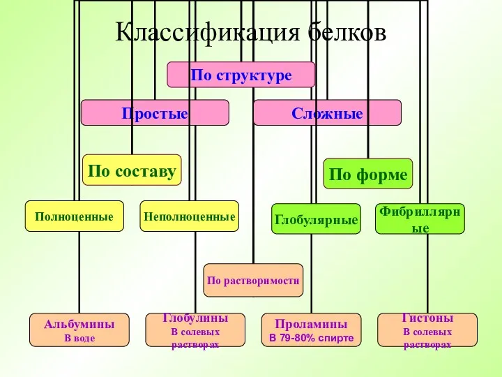 Классификация белков