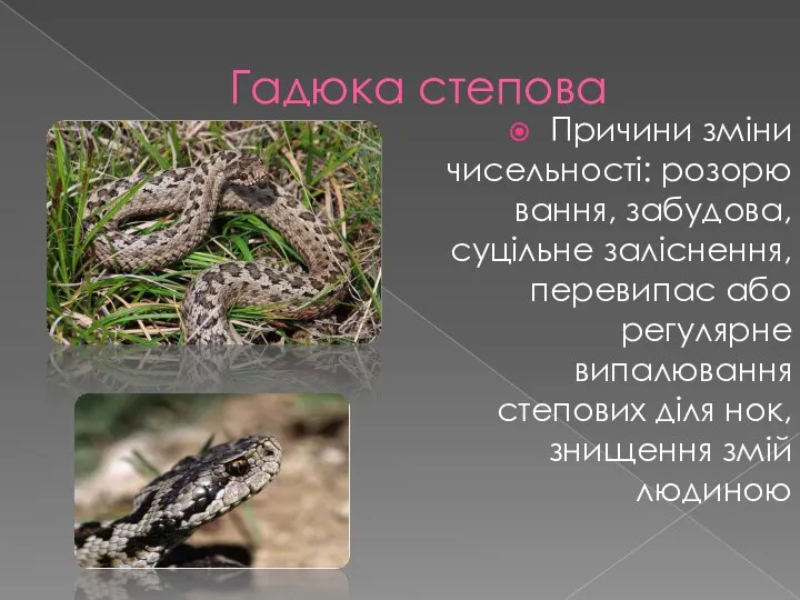 Гадюка степова Причини зміни чисельності: розорювання, забудова, суцільне заліснення, перевипас