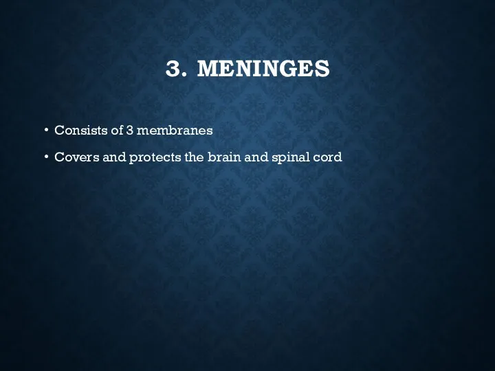 3. MENINGES Consists of 3 membranes Covers and protects the brain and spinal cord