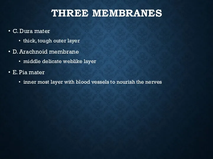 THREE MEMBRANES C. Dura mater thick, tough outer layer D.