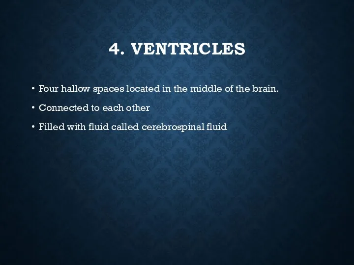 4. VENTRICLES Four hallow spaces located in the middle of