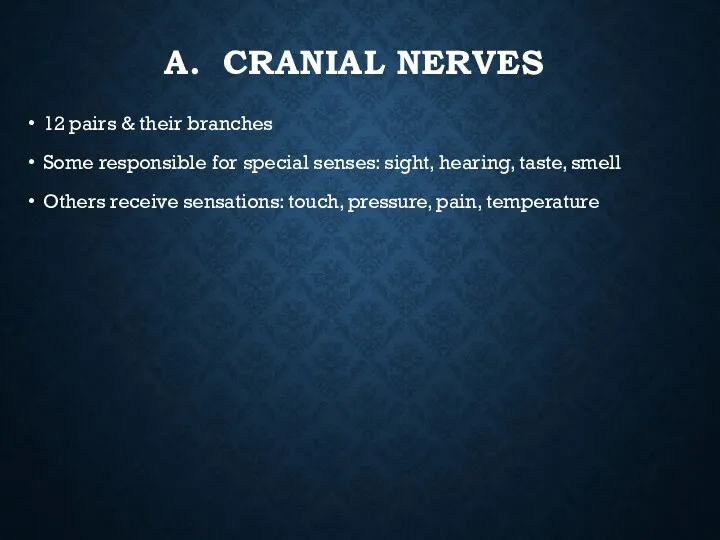 A. CRANIAL NERVES 12 pairs & their branches Some responsible