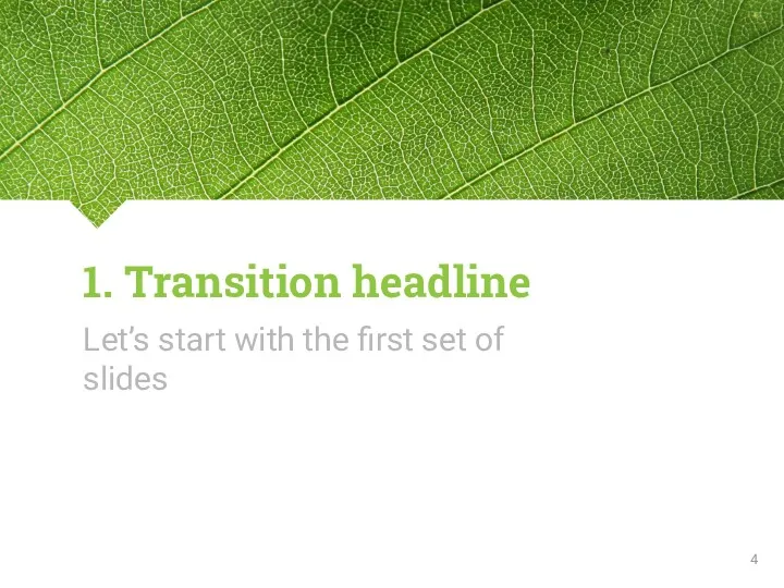 1. Transition headline Let’s start with the first set of slides